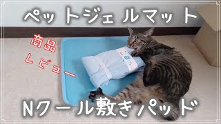 【猫動画】《商品紹介》ひんやりジェルマットとNクールマット【ニトリ】