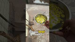 Download Lagu Wajah Abu Jadi Basah di Siram Pemilik #shorts MP3