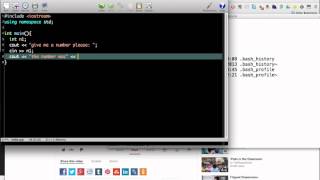 C++ Basic Input