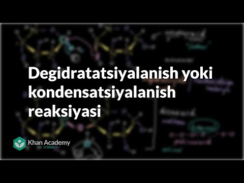 Video: Reaksiyaning asosiy xususiyatlari qanday?