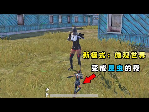 【小贝】吃鸡国际服新模式，我变成昆虫！携带无限导弹的炮