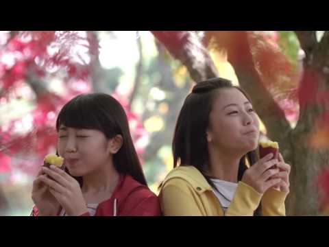 SUNTORY 伊右衛門「秋 30S」本木雅弘 宮沢りえ