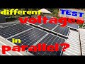 Different solar string voltages in parallel. Does that work? (no blocking diode)🌞🔧⚡🔋