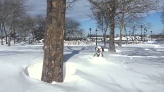 #Blizzard2015 Newburyport, Massachusetts