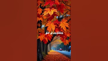 تلاوة مباركة بصوت عذب تهدأ لها القلوب وتطمئن النفوس، شارك الأجر بنشر الفيديو #قرآن #المصحف #دويتو