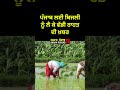 Electricity news today, ਪੰਜਾਬ ਲਈ ਬਿਜਲੀ ਨੂੰ ਲੈ ਕੇ ਵੱਡੀ ਰਾਹਤ ਦੀ ਖ਼ਬਰ #punjabinews #electricitynews