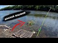 Отдых и рыбалка на реке Дон | донки крокодилы | спиннинг | село под Воронежем | 22 июня 2022