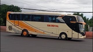 4 Pangeran biru muda Bus pariwisata Bigbird JB 5 .laju  prima Brave Trans di pertigaan gunung putri 