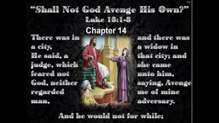 14 Shall Not God Avenge His Own