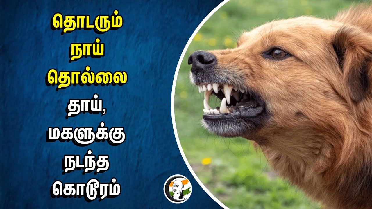 தொடரும் நாய் தொல்லை.. தாய், மகளுக்கு நடந்த கொடூரம் | Dog