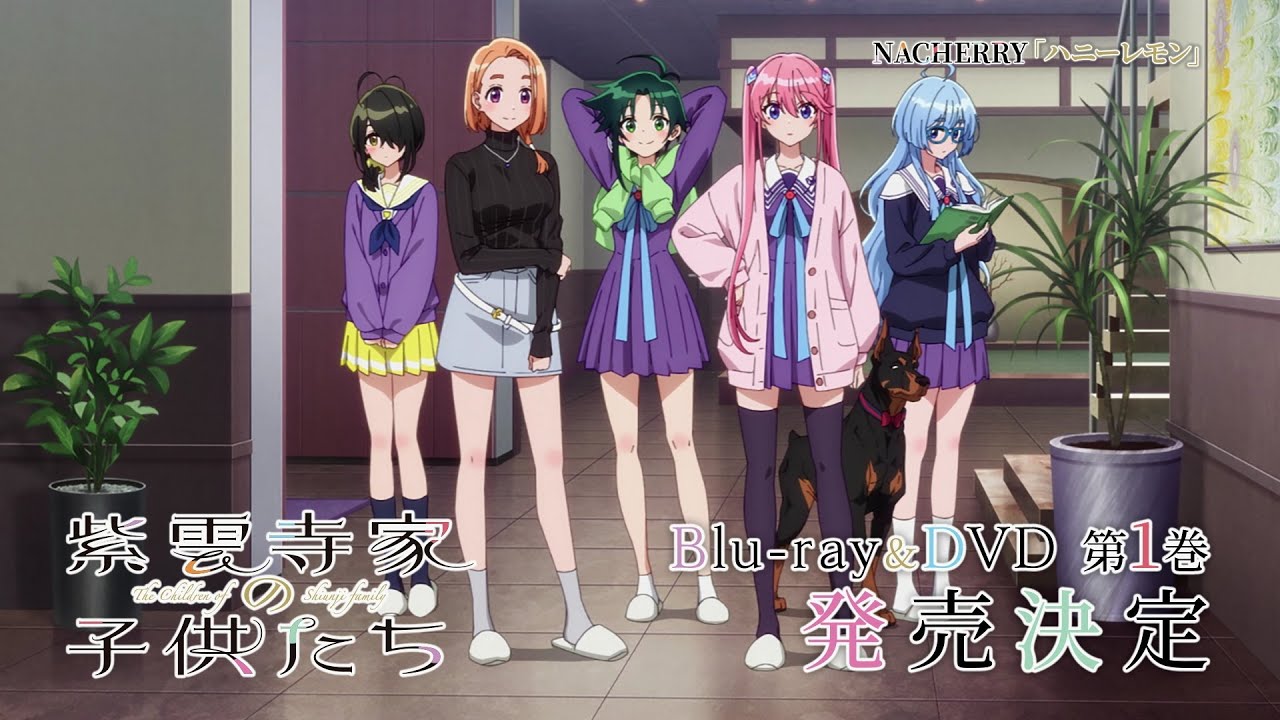 紫雲寺家の子供たち Blu-ray & DVD 2025年7月～9月 発売中|アニメ