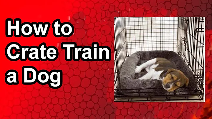 Crate Train a Puppy or Adult Dog Smart Way – A Complete Guide