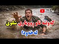 ڕووباری شلوێ لەخەودا بەهەموو شێوازەکانی کەوتنە ناوی مەلەکردن تێیدا دیتنی ڕونبونەوەی