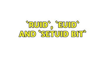 `RUID`, `EUID` and `setuid bit`
