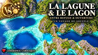 ❤️ COHÉRENCE CARDIAQUE 5 Min •🌊 La Lagune et le Lagon | Entre Refuge et Ouverture
