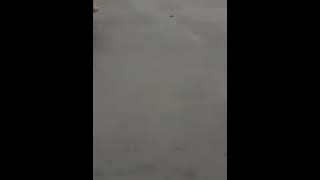 Marthin Sibuea - Terserah - Alex Rudiart