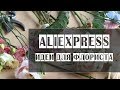 Алиэкспресс // Мои идеи для флористов // Aliexpress