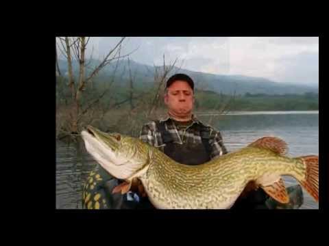 PIKE WORLD RECORDS