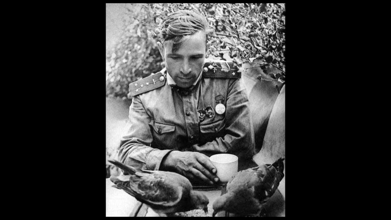 Мотор роллер альбомы