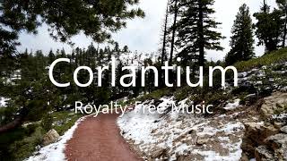 Fantasy Orchestral | Corlantium - Fantasy Sting 01