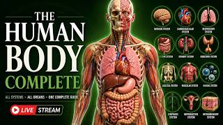 🫁 Human Anatomy Masterclass LIVE | Organs, Body Systems & Diseases Explained in Detail