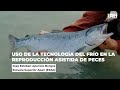 Uso de la tecnologa del fro en la reproduccin asistida de peces