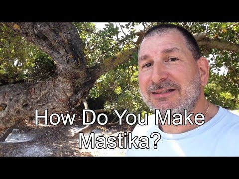How Do You Make Mastika? First Go To Chios Greece Where The Mastika Tree Grows!