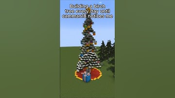 Building a birch tree everyday until @camman18 notices me (Day 66, Merry Christmas)