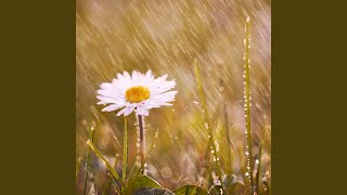 Mindful Celestial Rain Flow Theta Waves