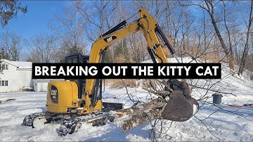 Using an Excavator for Tree Work!