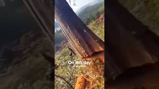 Daily operations of loggers #oddlysatisfying #wood #tree #lumberjack #asmr #satisfying
