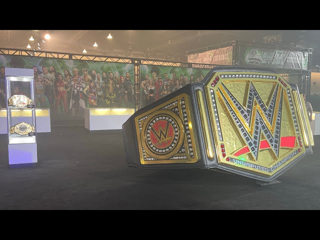 WWEベルトの指輪　未使用 Amazon | 公式WWE認定 ユニセックスWWE世界ヘビー級チャンピオン