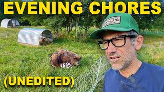 Real Life Farm Chore Routine on a Small Regenerative Farm