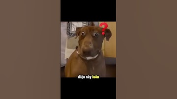 Simuleer het muzikant-zijn heel eenvoudig met deze AI #ai #videoai #tool #musician #makemusic #cr...