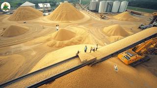 How America Turned Soybean Hulls Into Feed, Energy & Bio-Materials?