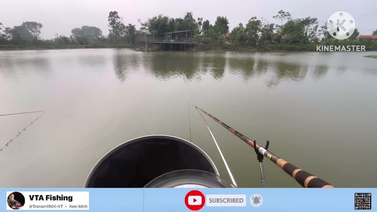 885. Câu cá diếc nữa đây - Trời trở gió, Khó...khó...có cá ăn !