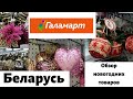 🎄Обзор новогодних товаров из магазина Галамарт Беларусь🎅