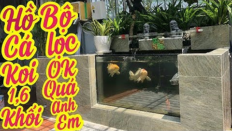 Riview Bộ Lọc Hồ Cá Koi 1,6 Khối Đẹp - Nuôi Toàn Cá Nhật Rất Đẹp Và Dạng Người.Hồ Anh Lý Ở Khánh Hoà