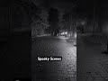 Spooky scenes #halloween #spooky #scary #horror