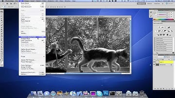 PhotoShop CS5 - Puppet Warp