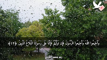 وما أصاب من مصيبة إلا بإذن الله - رعد محمد الكردي تلاوة خاشعه