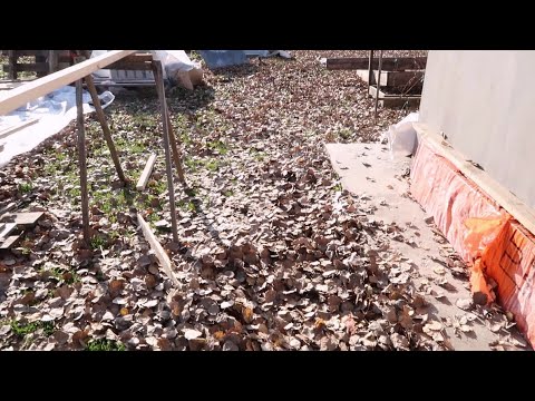 Как быстро очистить весь двор от листьев - YouTube