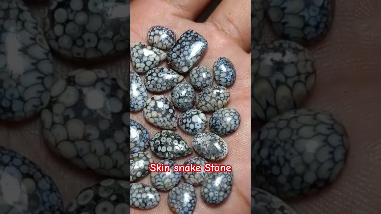 skin snake stone  