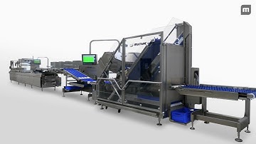 MULTIVAC Automated Line Solution for Slicing, Automated Belt Loading, and Packaging of Cheese