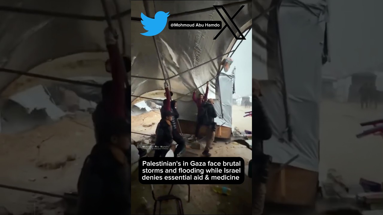 Brutal Storms & Flooding Rock Gaza