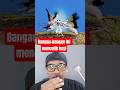 bangau ini berubah menjadi raksasa ‼️xr:@zackdfilms #shorts #reaction