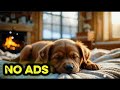 12 HOURS of Dog Calming Music For Dreams🐶🎅 Separation Anxiety Relief Music 💖 Dog relaxation 🎶 No Ads