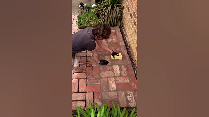Grouting brick paving.  #landscaping #diy