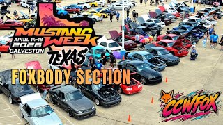 Mustang week 2026 Foxbodies in the LMR section 