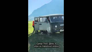 Так себе лошади...горбатые волосатые  #Алтай #Софийский  #trekking  #пешка #dreamtravel  #верблюд
